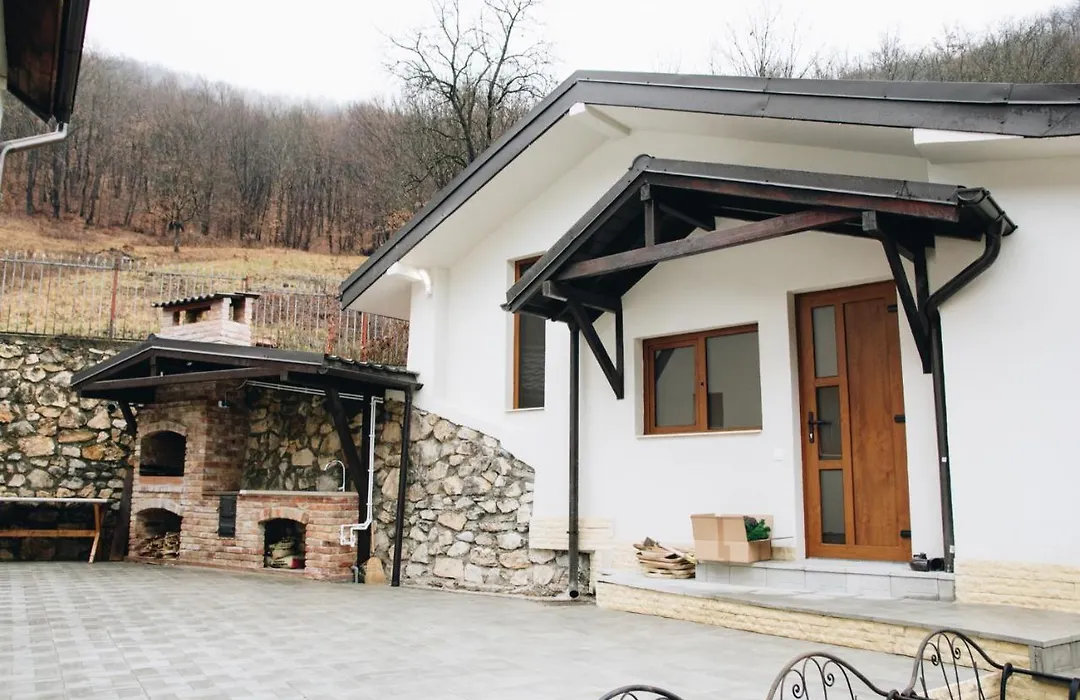 Casa dintre Brazi Hunedoara-1