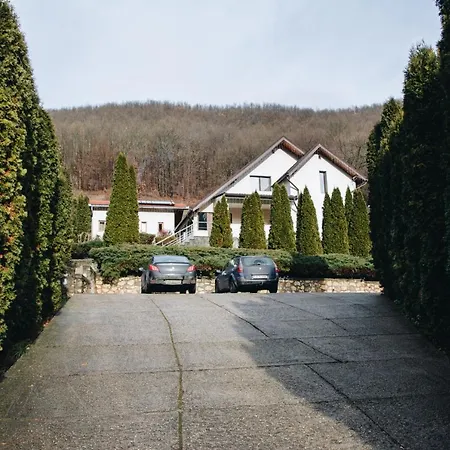 Casa dintre Brazi Hunedoara-2